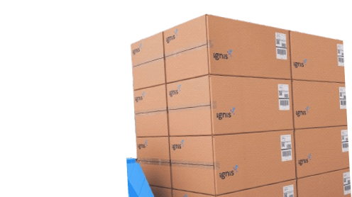 Warehousing Fulfillment